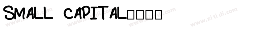 SMALL CAPITAL字体转换